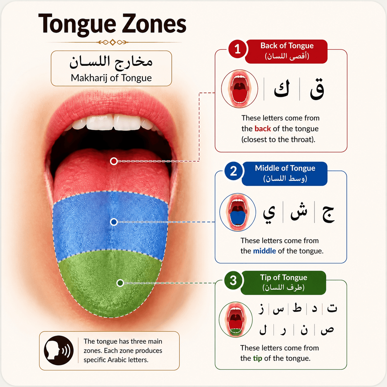Tajweed (Perfect Pronunciation) — What You Will Learn